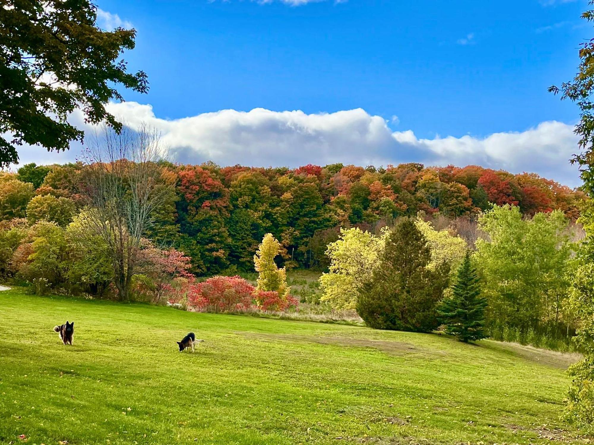 Caledon Manor And Country Inn 외부 사진