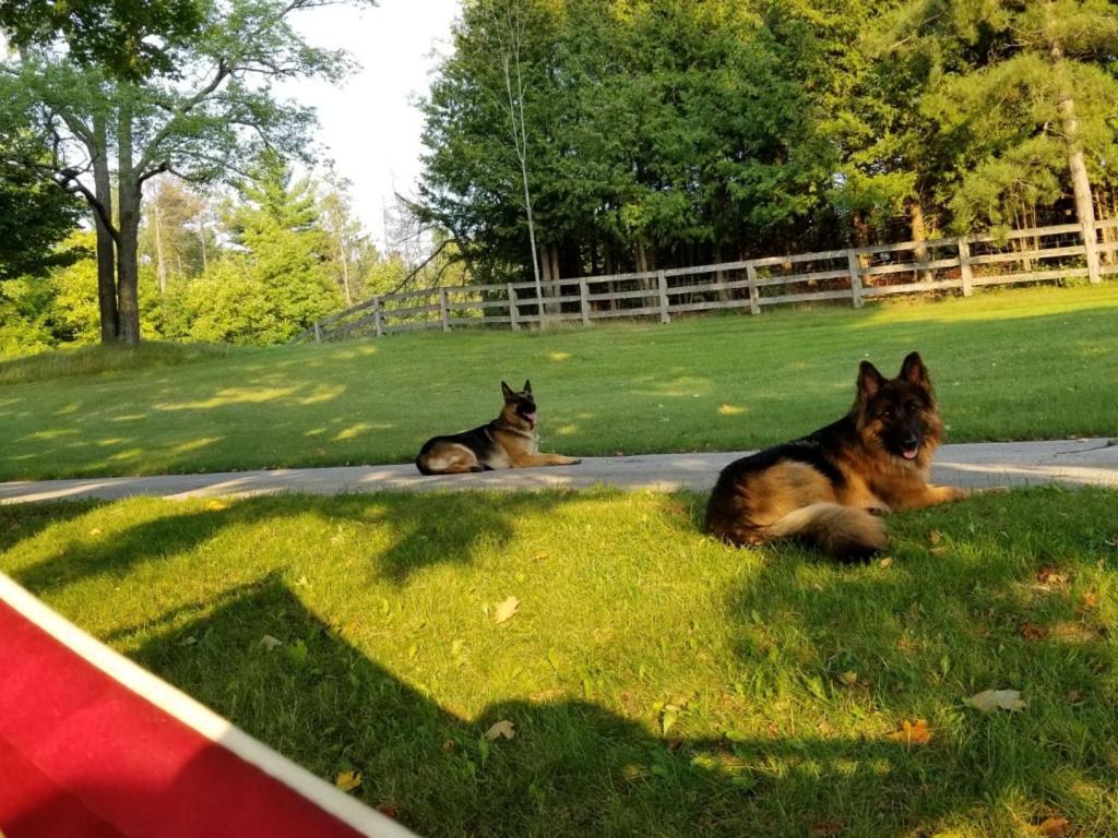Caledon Manor And Country Inn 외부 사진