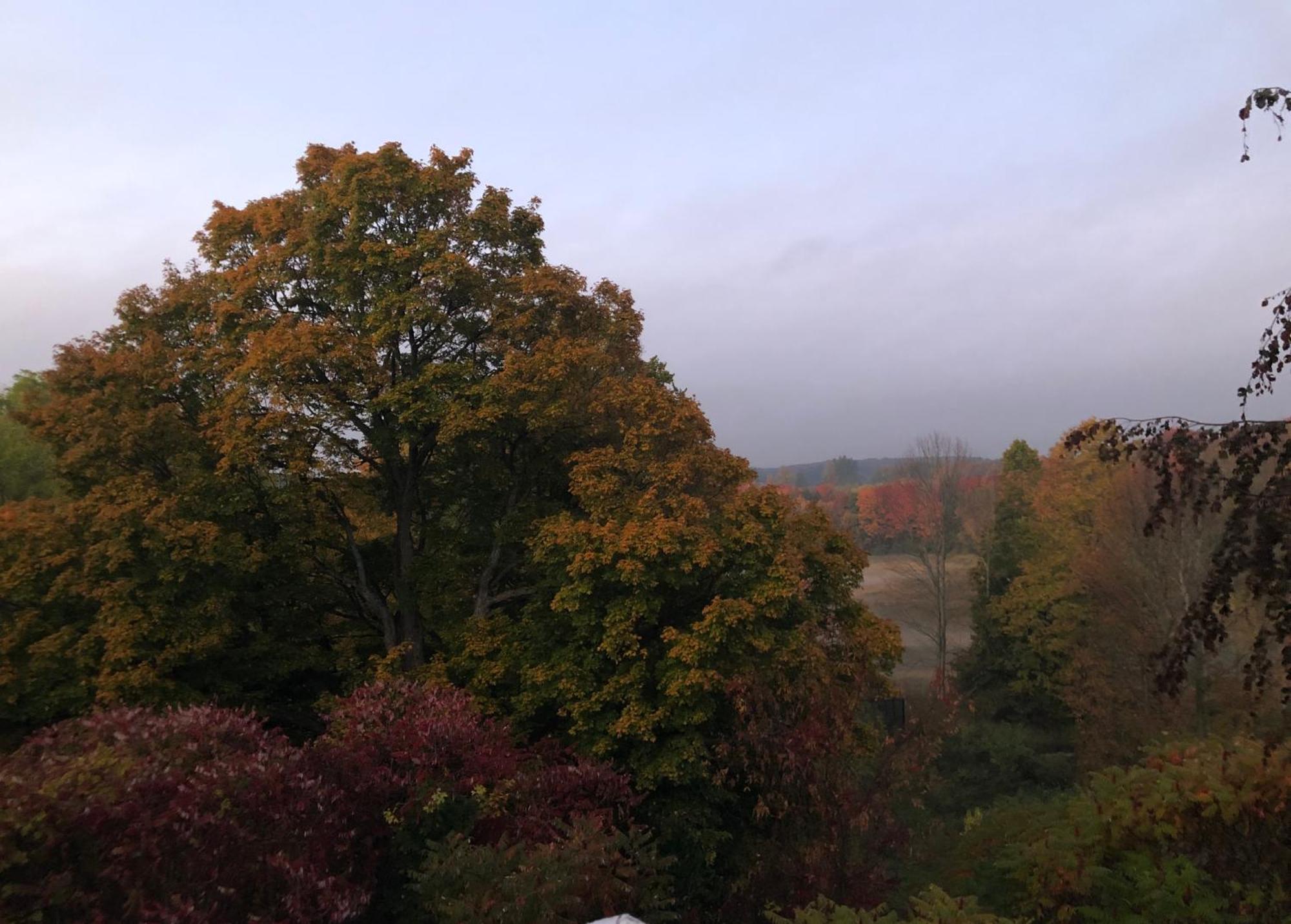 Caledon Manor And Country Inn 외부 사진