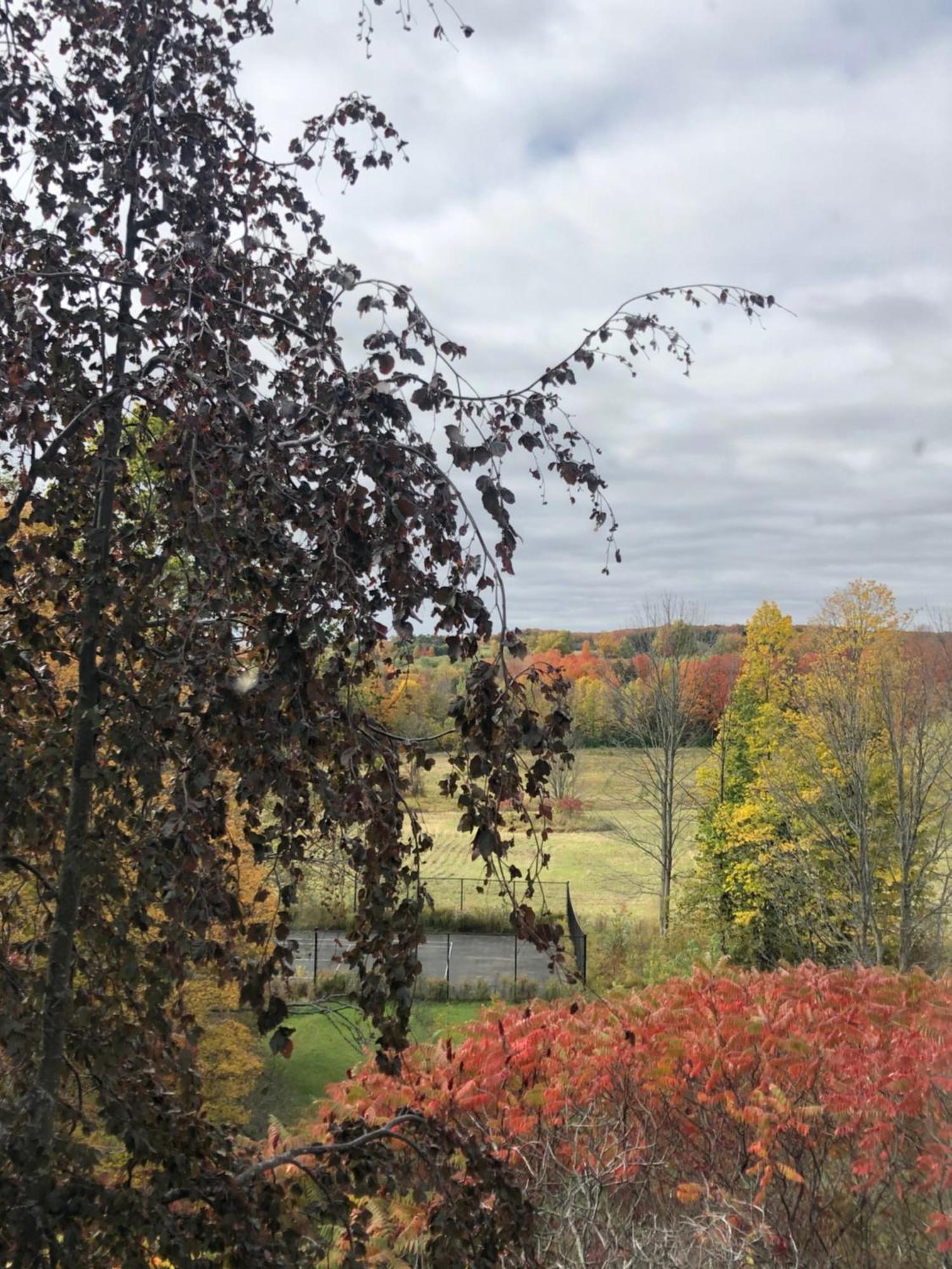 Caledon Manor And Country Inn 외부 사진
